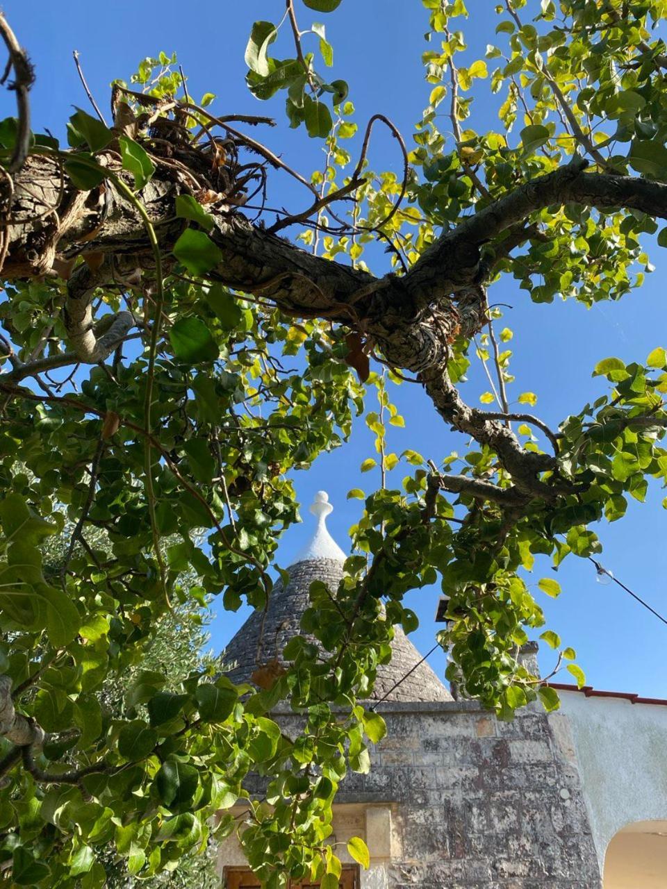 فيلا Il Trullo Del Lazzeruolo سانتا لوسيا المظهر الخارجي الصورة